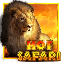 Hot Safari