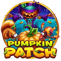 Pumpkin Patch