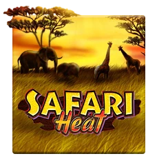 Safari Heat