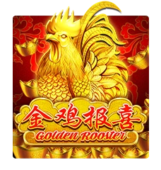 Golden Rooster