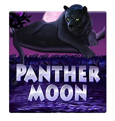 Panther Moon