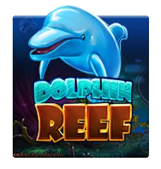 Dolphin Reef